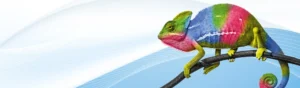 Chamäleon Header